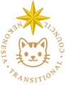 過渡委員會徽章