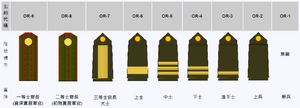 伊坦里卡-准尉、士官、士兵常服軍階列表.PNG.png