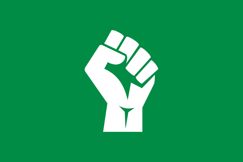 檔案:愛尼沃蘭國民進步黨黨旗.png