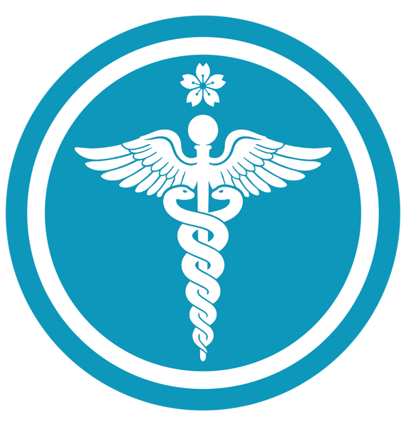 檔案:新亞市立大學商學院院徽.png