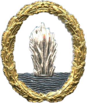 軍艦擊毀獎章.png