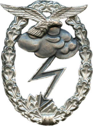 對地攻擊獎章.png