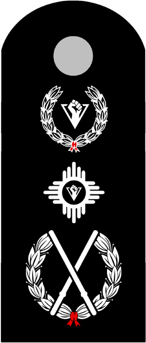 警務處署長徽章.png