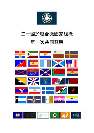 三十國於聯合微國家組織共同聲明封面.jpg