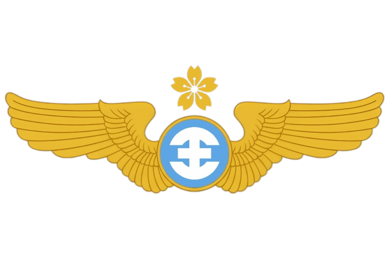 檔案:Luftwaffe Stadtstaat Hsinia.png