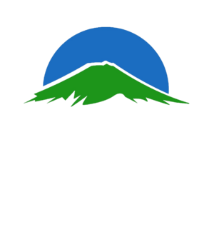 靖康維新黨黨徽.png