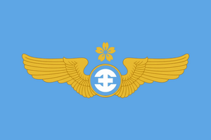新亞市空軍旗