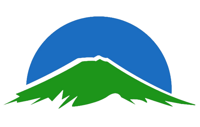 檔案:靖康維新黨黨徽(2024).png