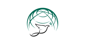 Flag of CMCO.png