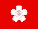 中央人民共和國國旗