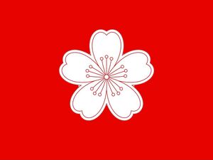 中央人民共和國國旗.jpeg